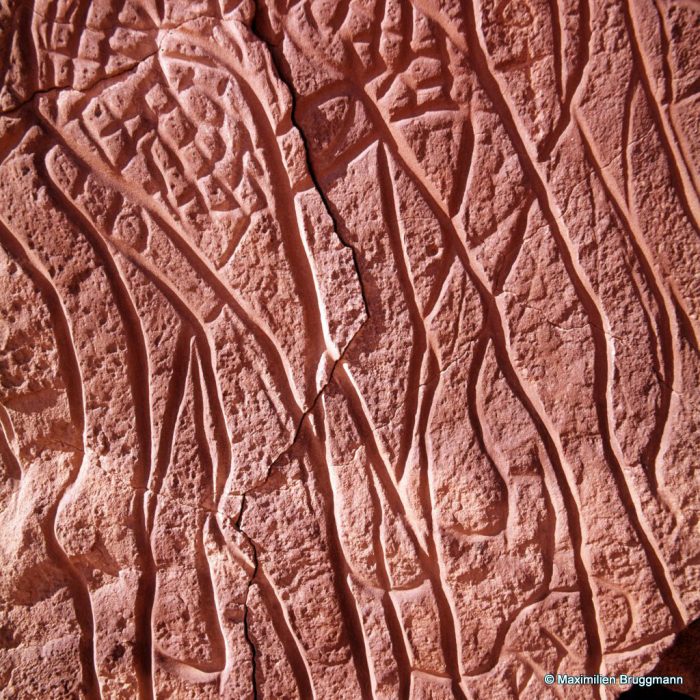 190 Oued Mathendous. In Habeter III. — Détail d'une tête de bovidé gravée, révélant une maîtrise artistique remarquable. Largeur de la tête au niveau des naseaux : 0,58 m.