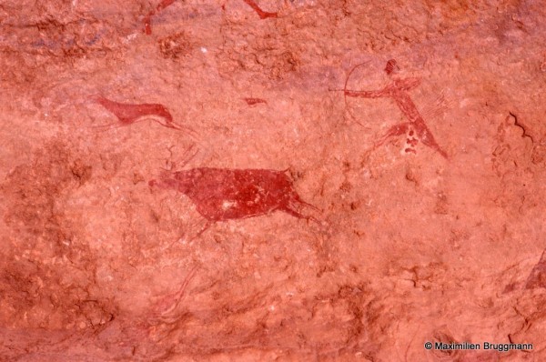 417 Jabbaren (Tassili-n'Ajjer). — Scène de chasse traitée à l'ocre rouge. Une gazelle et une antilope sont poursuivies par des chasseurs.
