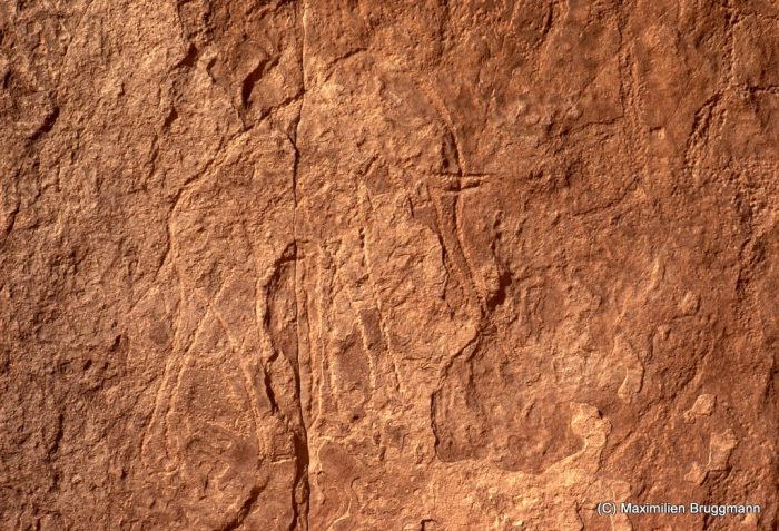 101 Enneri Blaka. Site 3. — Eléphant gravé sur une roche défectueuse. Epoque dite « du bubale ». De la base de la patte arrière à l'extrémité des défenses : 0,60 m.