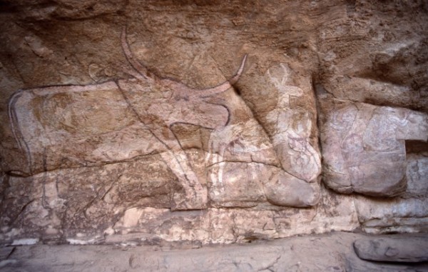 Site de Sefar (Tassili N'Ajjer, Algérie) / Peinture rupestre / Vache / 46N-P58-001