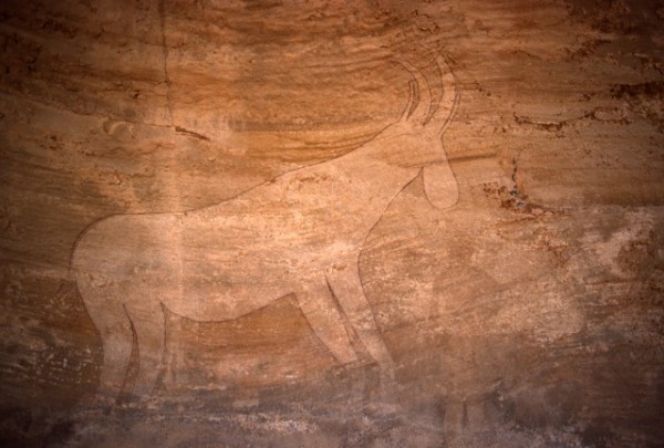 Site de Sefar (Tassili N'Ajjer, Algérie) / Peinture rupestre / Antilope / 46N-P61-007