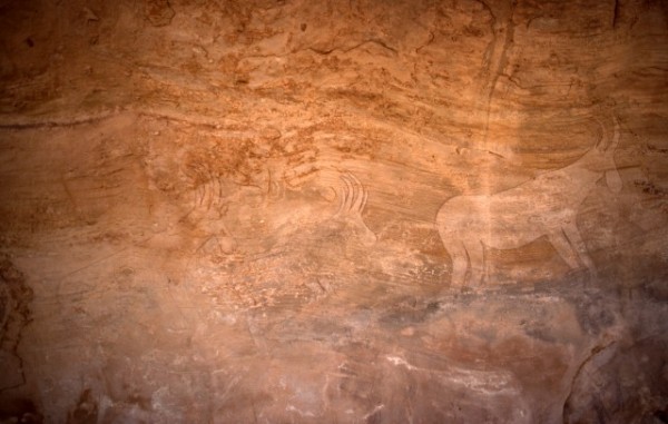 Site de Sefar (Tassili N'Ajjer, Algérie) / Peinture rupestre / Antilopes / 46N-P62-003 
