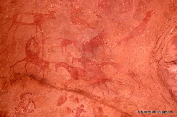 432 Jabbaren (Tassili-n'Ajjer). — Fresque peinte montrant, en ocre rouge, un ensemble de bovidés, d'antilopinés, de personnages. Il se peut que l'artiste ait voulu, non pas représenter de grandes antilopes, mais des chevaux.