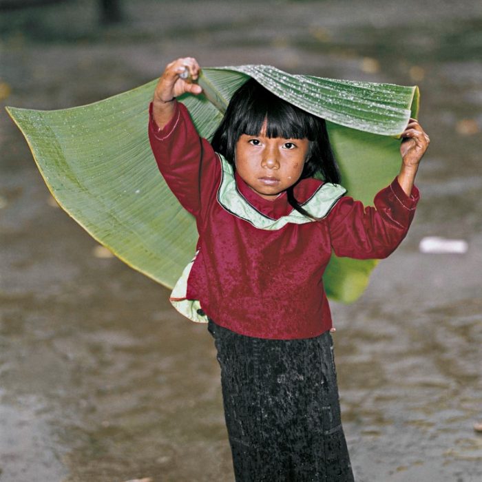 Fillette à la feuille. La région du Loreto, au nord-est du Pérou est l’une des régions les plus humides et les moins peuplées du pays. Cette simple feuille de bananier, prélevée par une gamine Shipibo pour se protéger de la pluie tropicale, provient de la forêt amazonienne encore épargnée… mais pour combien de temps ?