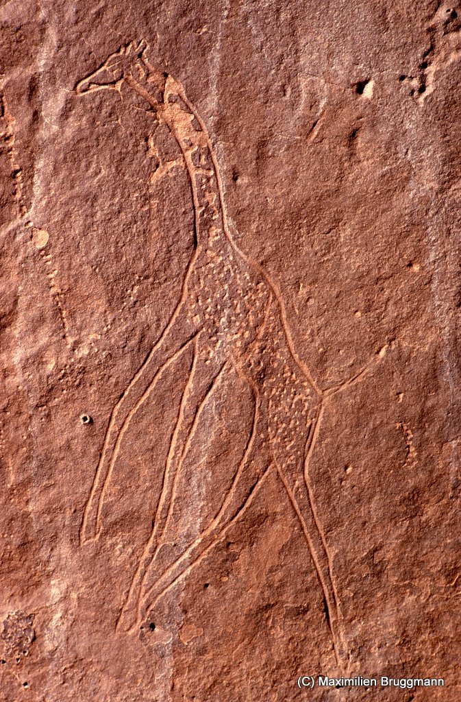 Sur la face ouest du « Sous-marin », existe une remarquable girafe gravée, de l'étage ancien (néolithique ou bubalin), saisie en mouvement. Hauteur de cette girafe : 0,70 m. Site 1.